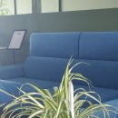 개정꽃농원 이미지