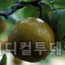아이밥상