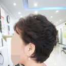 전영자헤어뉴스