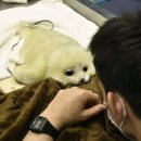 바른튀김 네이버블로그