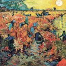 포도약국 이미지