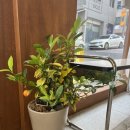 시지하늘유치원 이미지