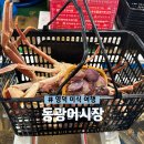 영덕 동광어시장 대게 내돈내산 구매 포장 후기 해파랑공원 산책까지