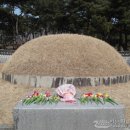 해암리 게바위 이미지