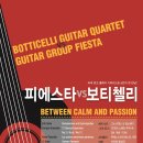 클래식기타 (D) 이미지