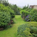 제주에코스위츠 | 제주도펜션 제주에코스위츠 풀빌라 추천