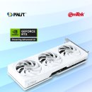 붉은 여우 PC 이미지