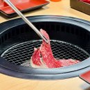 수원시 팔달구 향교로 3번길 | 야키니쿠루 수원역본점 I 경기도 수원 야키니쿠루 일본 감성 가득한 화로구이 내돈내산 후기