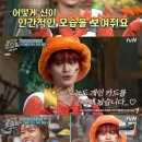 도레미식당 이미지