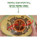 퀘스트박스 | 포우퀘스트 아보카도] 내돈내산 강아지 노즈워크 포우퀘스트 아보카도 구매 후기(feat.은다니 장난감 놀이)