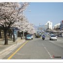 창원대로 이미지