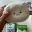 곰 | 올리브영 망그러진곰 콜라보 오픈런 후기(추천 템)