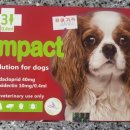 제이에스 동물병원 이미지