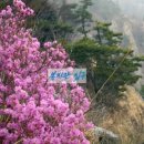 동명노인복지관 이미지