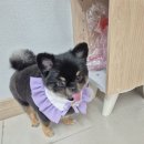 예쁜미용소