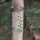 기와터(근린공원) | 용산 기와터 근린공원 산책