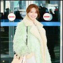 수영패션