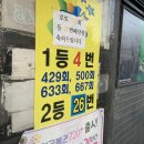 빛과 어둠의 경계