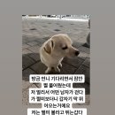 [짱절미] 화나는 절미 인스타 스토리 이미지