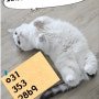 쭈니크린