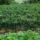 상주 쾌재정 이미지