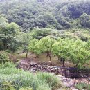 오토공인중개사사무소 이미지