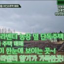 김태유부동산중개사무소 이미지