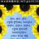 다연뷰티