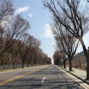 가루개로 이미지