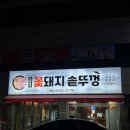 꽃돼지실비
