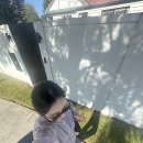 이브멀티카페 | [D+29~31] 젬이있는 호주생활