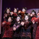 영어뮤지컬아카펠라 이미지