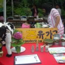 김재필농장 네이버블로그