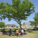 성수초등학교 이미지