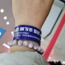 개고생(개와고양이생각)