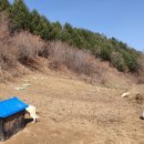 계촌농장 이미지