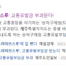 폴 건축사사무소 네이버블로그