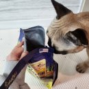 (주)코리아세븐 대구대신이편한점 | 강아지 사료 추천 기호성 좋은 사료 지그니쳐 칠면조 1kg 작은 알 급여 후기