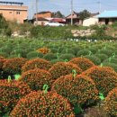 맑은샘농장 이미지