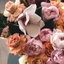 너에게로또 | ×천범석 〈사랑이 지나가면〉 홍승민×이예지 〈너에게로 또 다시〉 임지성×송지우 〈주저하는 연인들...