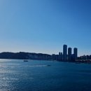 영도