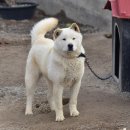 멍이로움 이미지