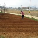 장금농장 이미지