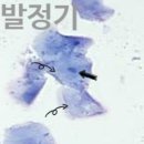 청라호수동물메디컬센터