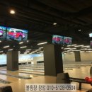 고릴라볼링샵
