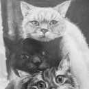 연필소묘 이미지