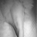 검단이담동물의료센터 이미지