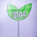 [000000] B1A4 응원도구 이미지