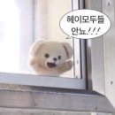샘터지에스 - 용산구 한강대로 123-1 | [괴정역카페] 사하구 디저트가 맛있는 카페커랜 사하본점
