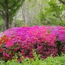 능길역 2번출구 이미지